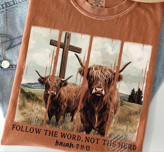 Follow the word, not the herd