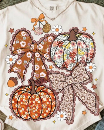 Pumpkin/Bows/Fall